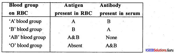 1st PUC Biology Previous Year Question Paper March 2015 (South) 4