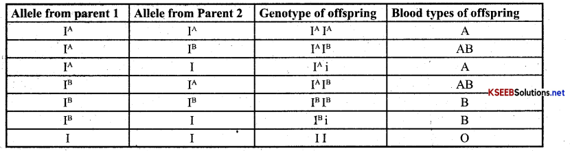 2nd PUC Biology Important Questions Chapter 5 Principles of Inheritance and Variation 6
