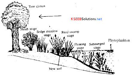 2nd PUC Biology Notes Chapter 14 Ecosystem 9